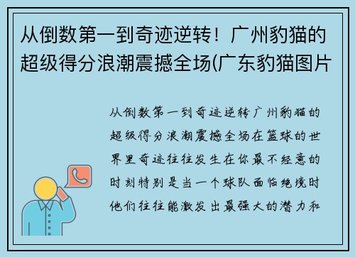 从倒数第一到奇迹逆转！广州豹猫的超级得分浪潮震撼全场(广东豹猫图片)