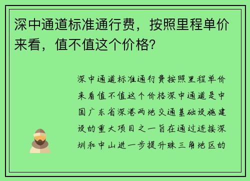 深中通道标准通行费，按照里程单价来看，值不值这个价格？